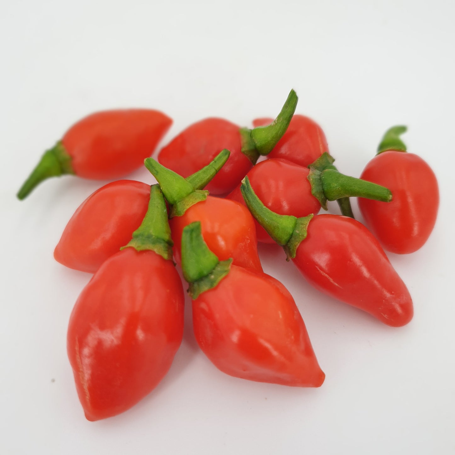 10rote Habanero Tenziha Früchte