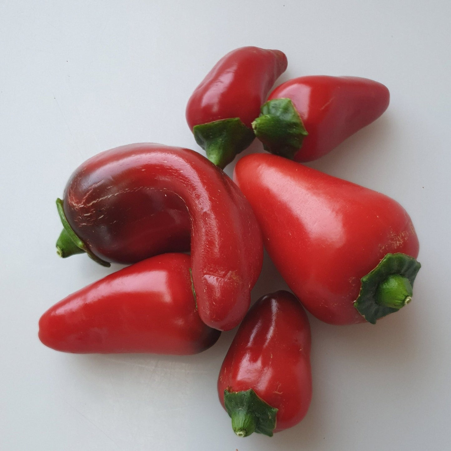 6 rote Früchte der Jalapeno El Rey