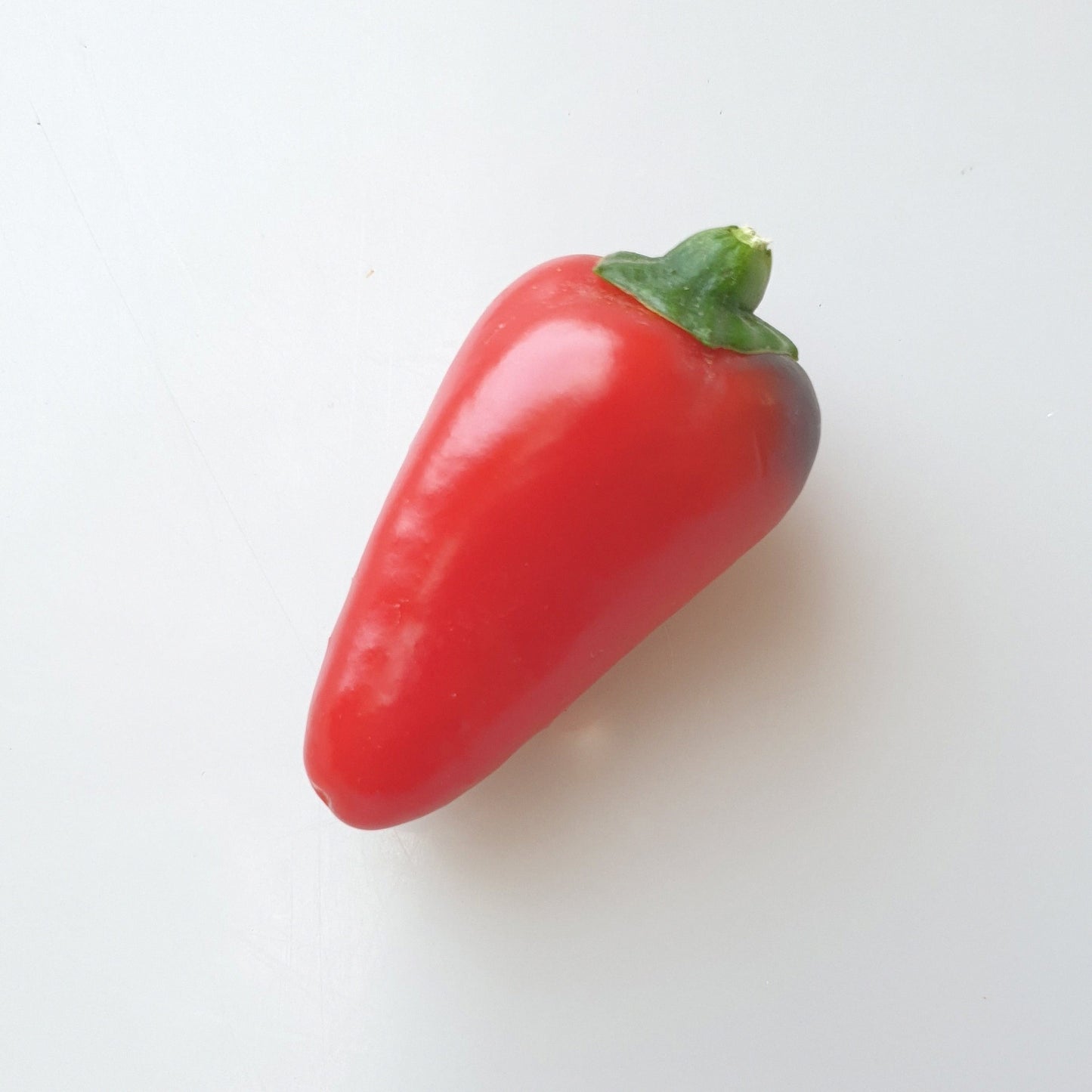 einzelne rote Frucht der Jalapeno El Rey Chili