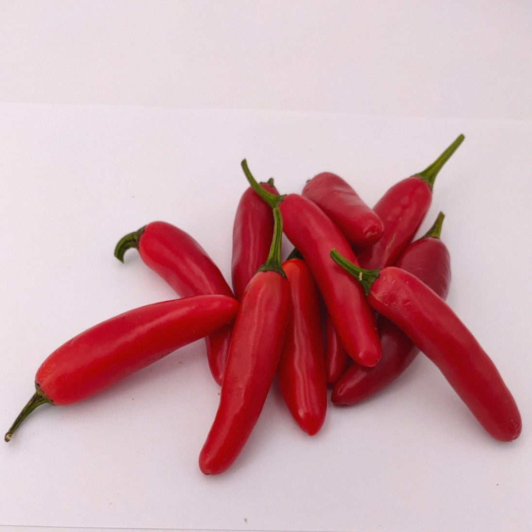 10 rote Jalapeno Summerheat Früchte