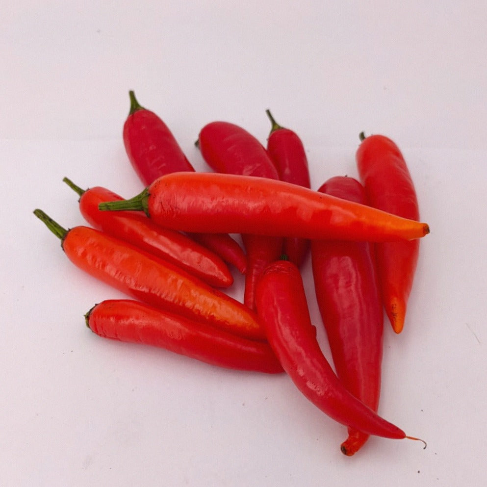 10rote Früchte der Jalapeno Suribachi