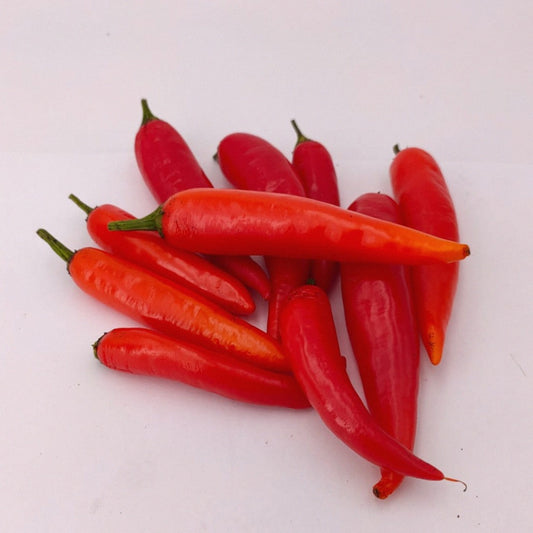 10rote Früchte der Jalapeno Suribachi