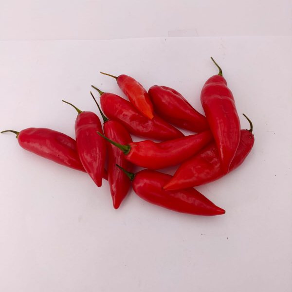Maya Red Habanero