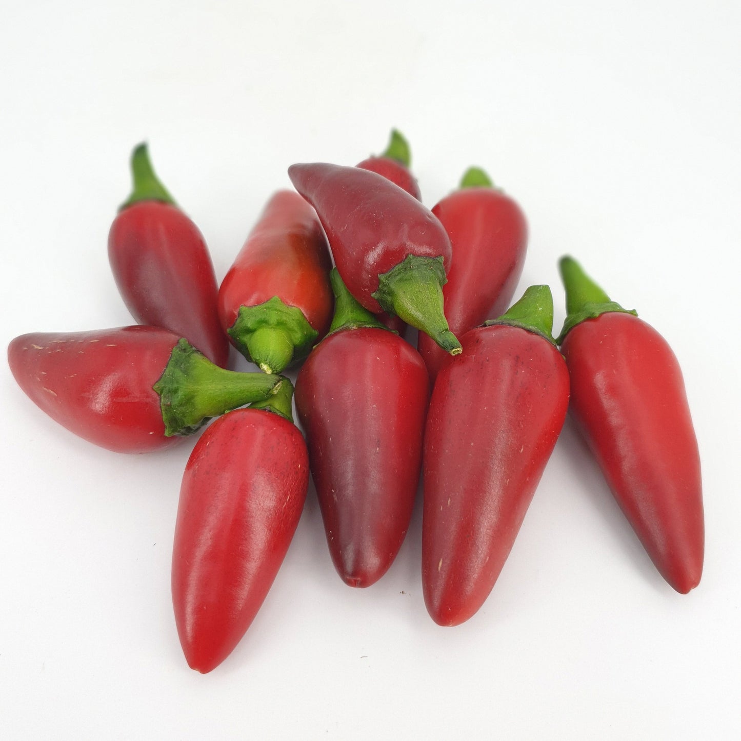 10 rote Purple Jalapenos