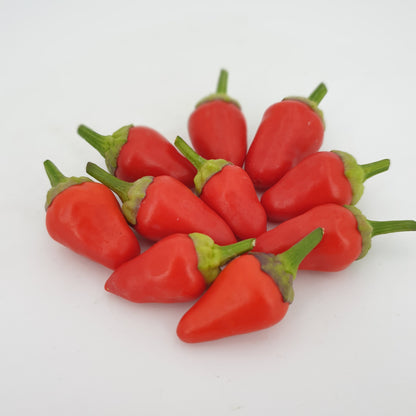 Beauty and taste: Decorative chili varieties (5 varieties, 5 seeds each)