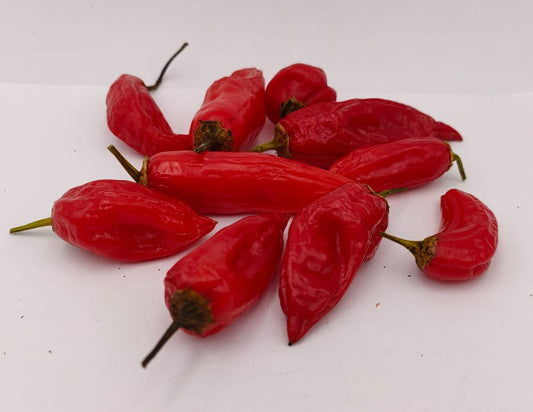 Aji Ecuatoria - 10 chili seeds