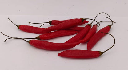 Aji Peruvian - 10 chili seeds