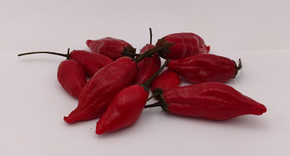 Aji Red Hot Pyosil - 10 chili seeds
