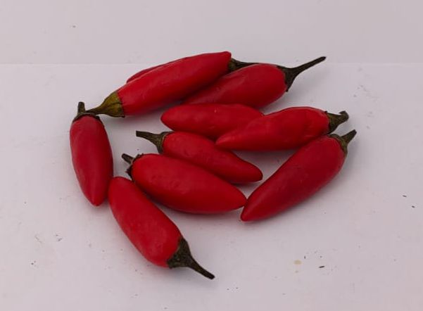 Amachito Rosso - 10 semillas de chile