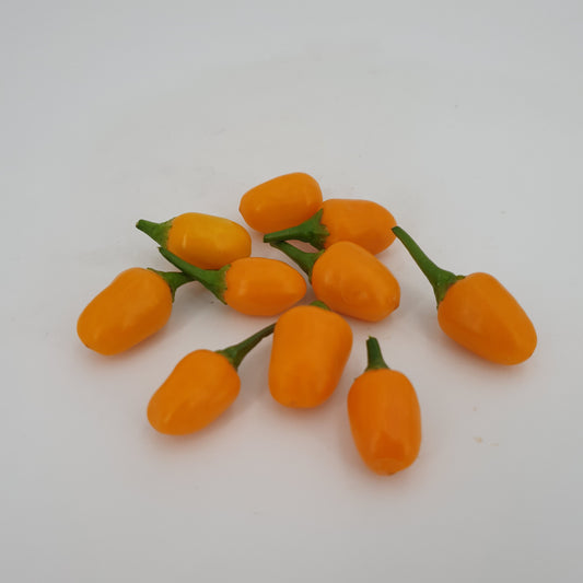 Ayuyo Orange - 10 chili seeds