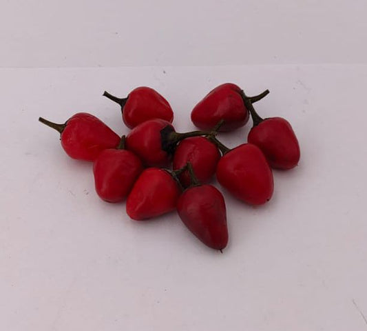 Bellingraths Purple - 10 chilli seeds