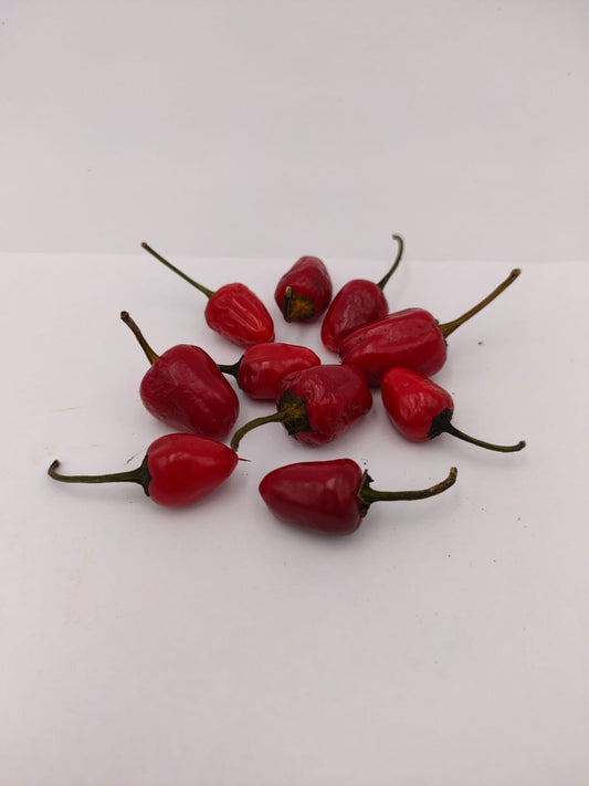 Chili Costa Rica rojo - 10 chili seeds