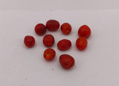 Chiltepin Sonora Rojo - 10 semillas de chile