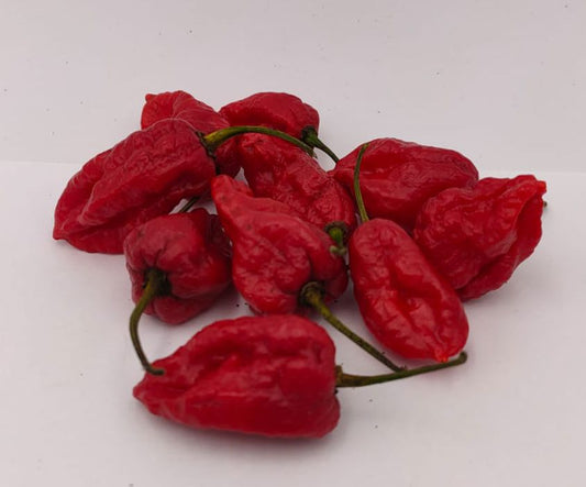 Choco Ghost Red (rojo) - 10 semillas de chile
