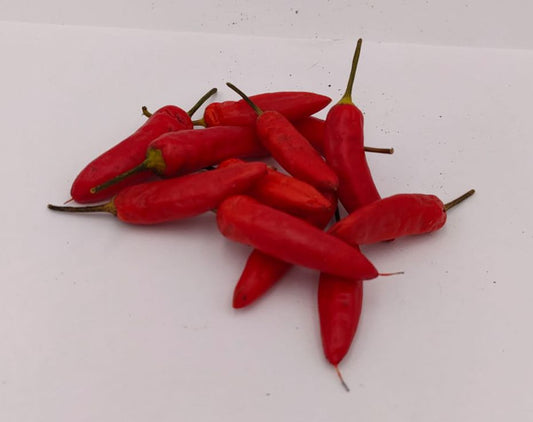 Gyertyalang - 10 chili seeds