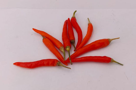 Paleta Caliente - 10 semillas de chile