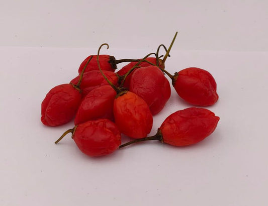 Inca Berry - 10 Chilisamen