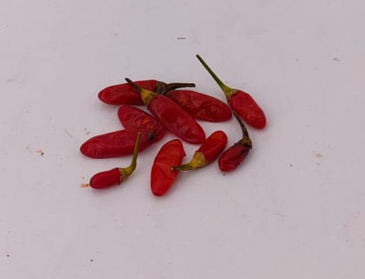 Sorpresa Inca - 10 semillas de chile