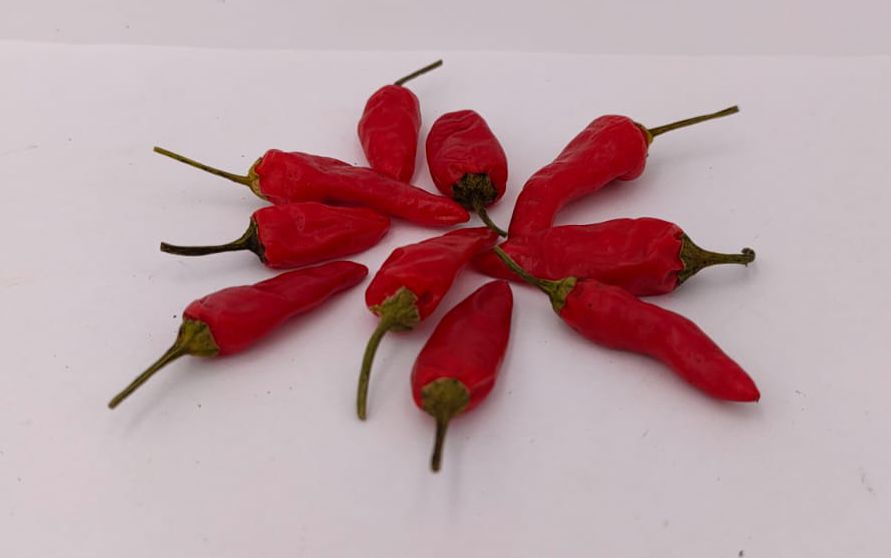 Numex Chinese New Year - 10 chilli seeds