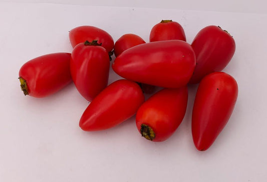 Numex Jalmundo - 10 semillas de chile