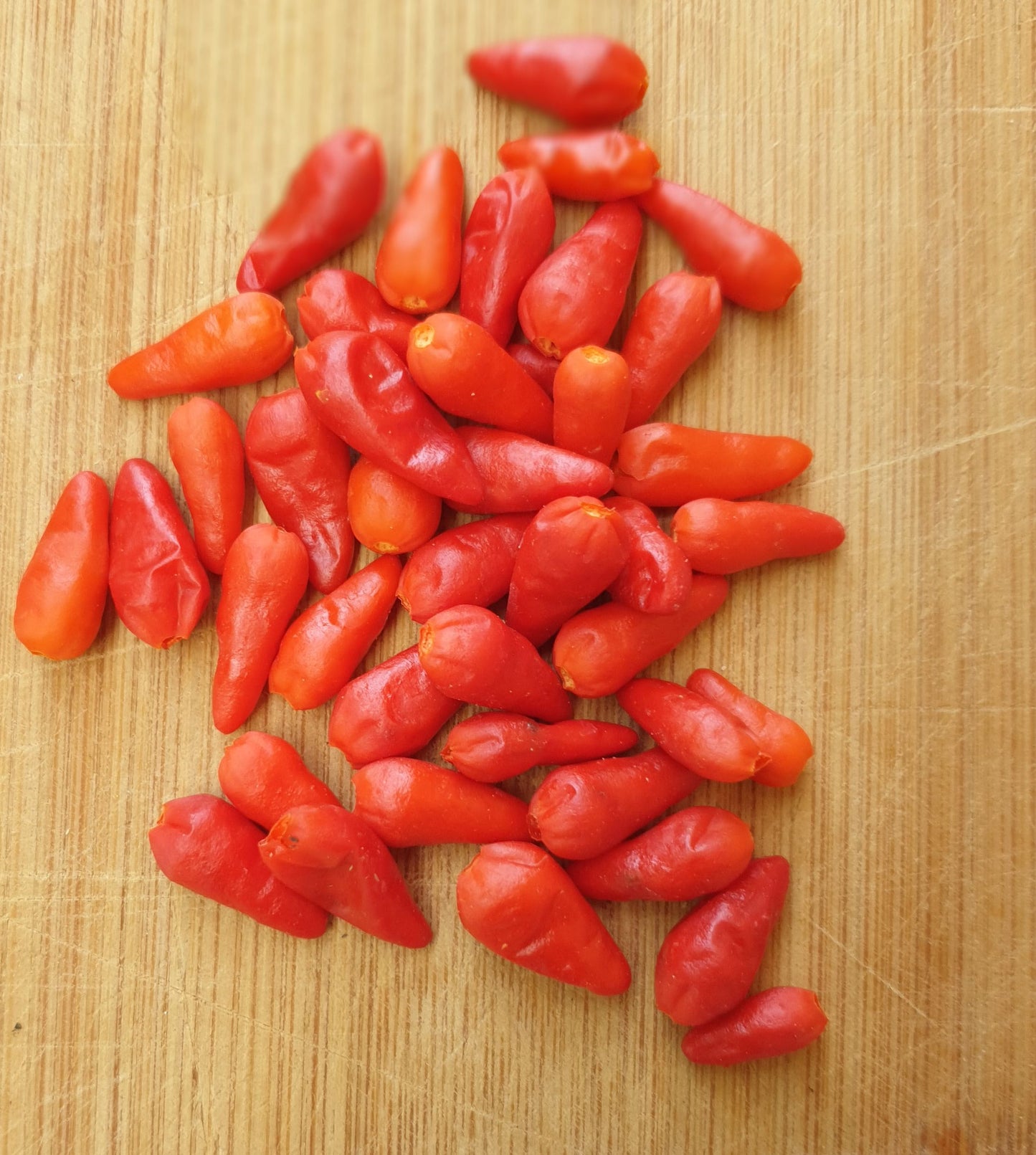 Pequin - 10 semillas de chile