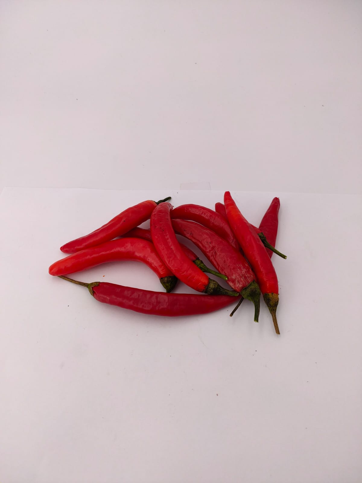 10 rote Aciburun Chilis