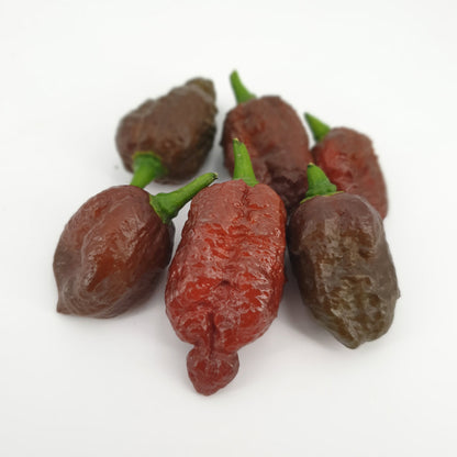 6 braune Habalokia red brown Früchte