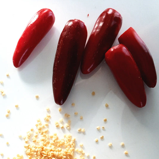 5 rote Jalafuego Chilifrüchte