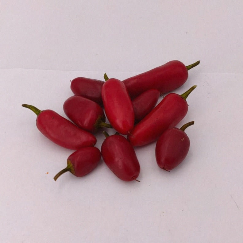 10 x rote Jalapeno Compadre Früchte