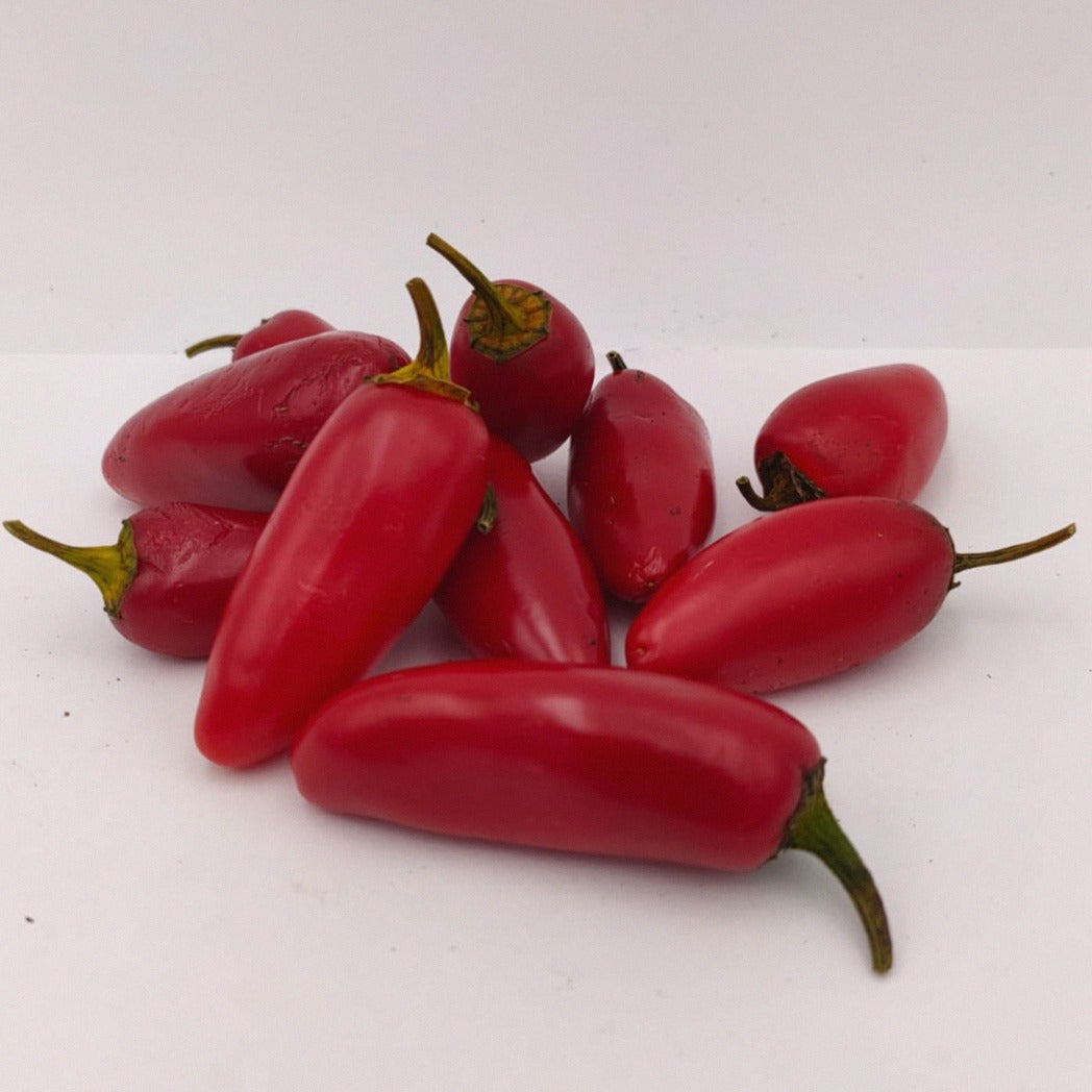 10 rote Früchte der Jalapeno Dark Red