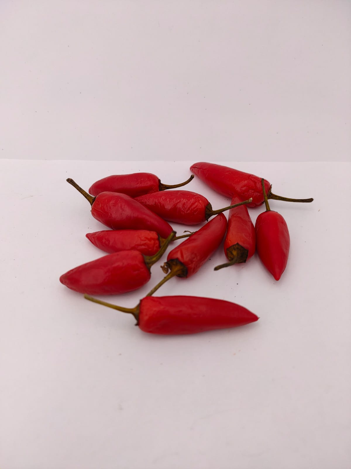 10 rote Früchte der Jalapeno multicolor