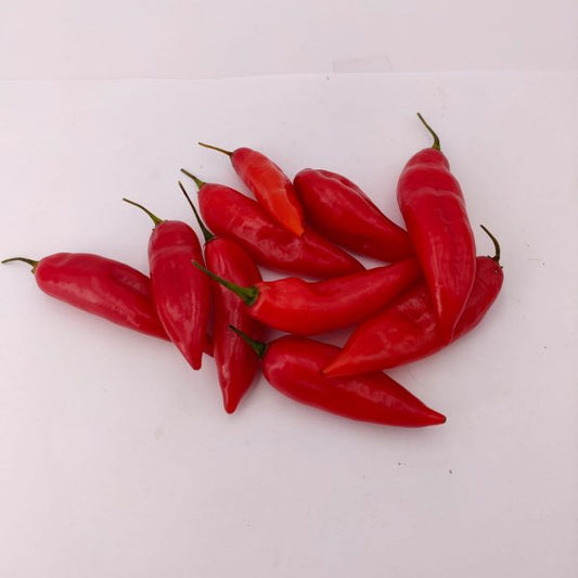 Maya Red Habanero - 10 chili seeds